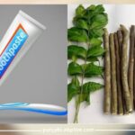 ਹਿਮਾਚਲ ’ਚ ਭਾਰੀ ਮੀਂਹ-ਹੁਣ ਤੱਕ 39 ਮੌਤਾਂ ਪੰਜਾਬ, ਚੰਡੀਗੜ੍ਹ ਤੇ ਹਰਿਆਣਾ ਵਿਚ ਵੀ ਪਿਆ ਮੀਂਹ