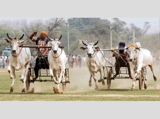 ਕਿਲ੍ਹਾ ਰਾਏਪੁਰ ਪੇਂਡੂ ਓਲੰਪਿਕ 2026