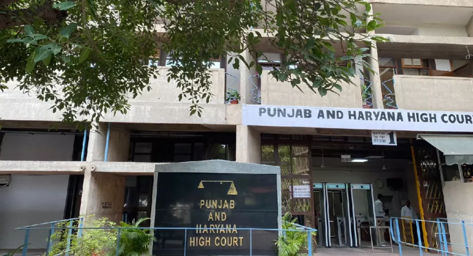 ਹਾਈਕੋਰਟ