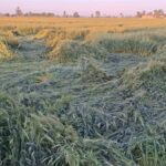 ‘ਹੋਰਮੁਜ਼ ਅਲਟੀਮੇਟਮ’ ਇਰਾਨ ਨੇ ਕਰਤਾ ਰੱਦ